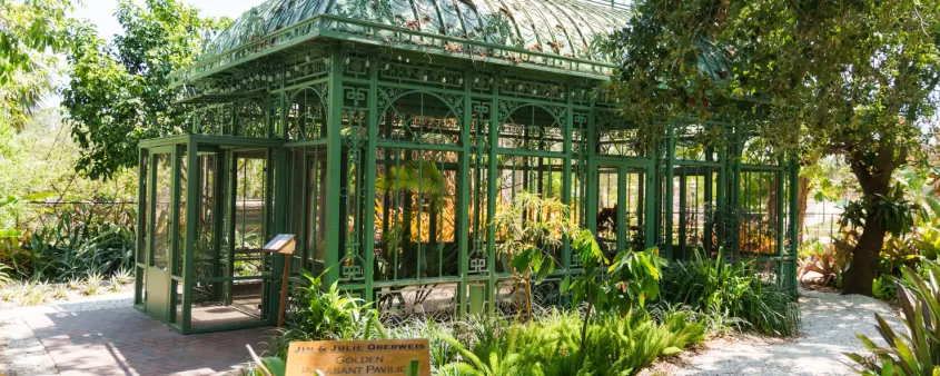 Picture-perfect photo opportunities await at Wonder Gardens