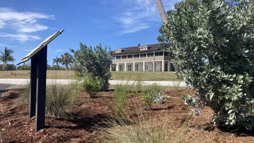 Native Plants of Mound House