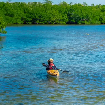 A person in a kayak in the middle of a lake